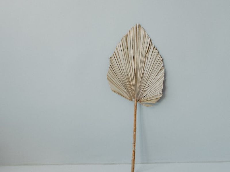 Minimalist yoga studio space with natural light.